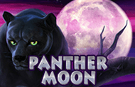 Азартная игра Panther Moon