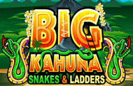 Игровой автомат Big Kahuna