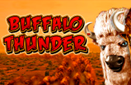 Игровой автомат Buffalo Thunder