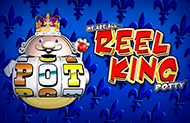 Игровой автомат Reel King Potty