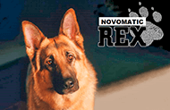 Игровой автомат Rex