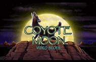 Coyote Moon